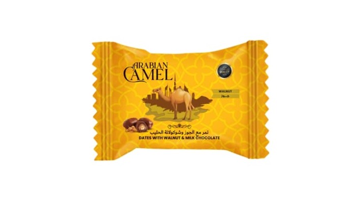 ARABIAN CAMEL