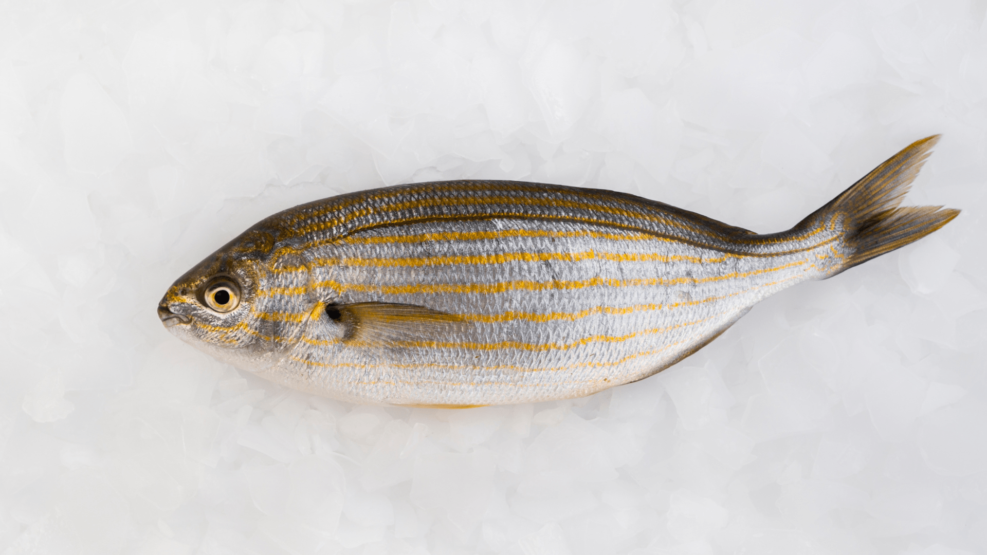 Yellow Trvally / വേളാപാര (1KG)