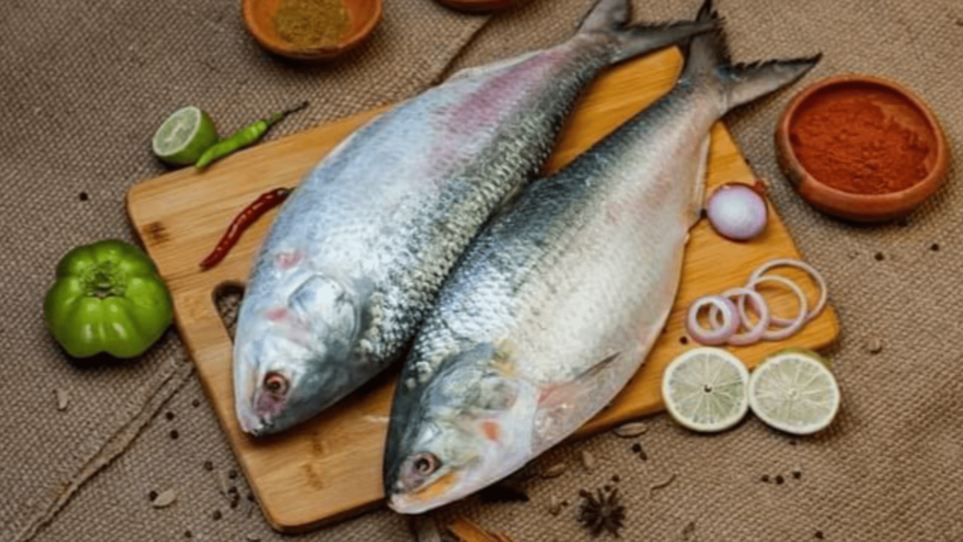 Seer Fish / നെയ്യ് മീൻ