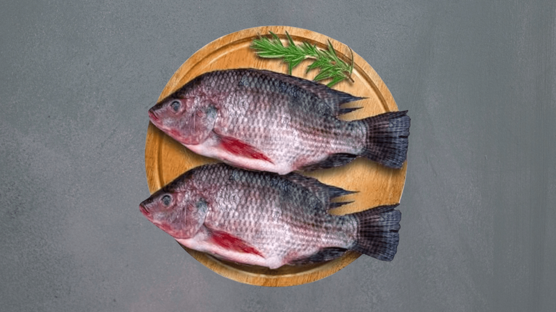 Thilopia / തിലാപ്പിയ (1KG)